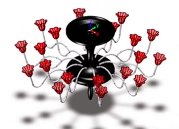 实例教程5：用ag8ag8集团3D进行花瓣吊灯设计