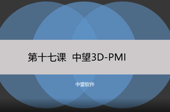 功能教程17：PMI